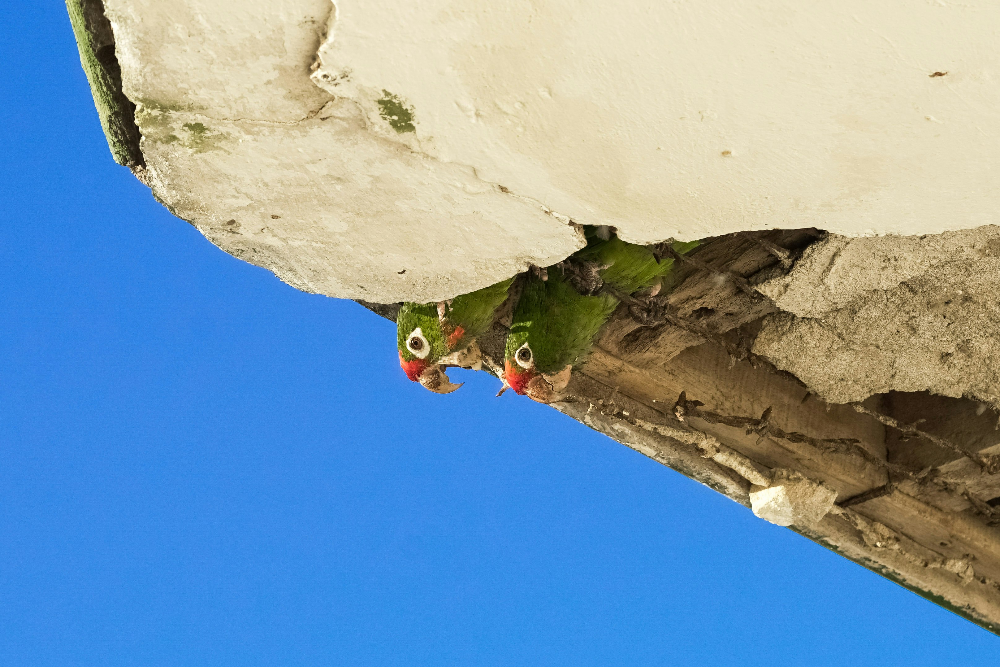 person in green shirt climbing on white rock during daytime